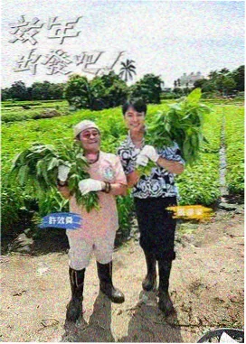 一锅慢炖综艺海报